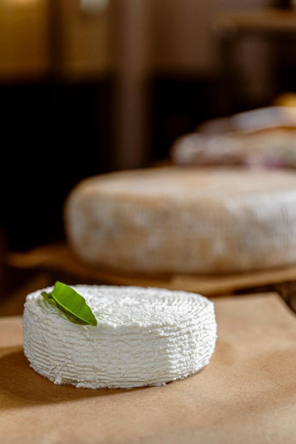 La Dolza Alloggio per agriturismo Follina